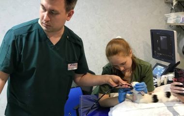 Апробация эндоскопической системы INNERMED VES-100 в городе Краснодар