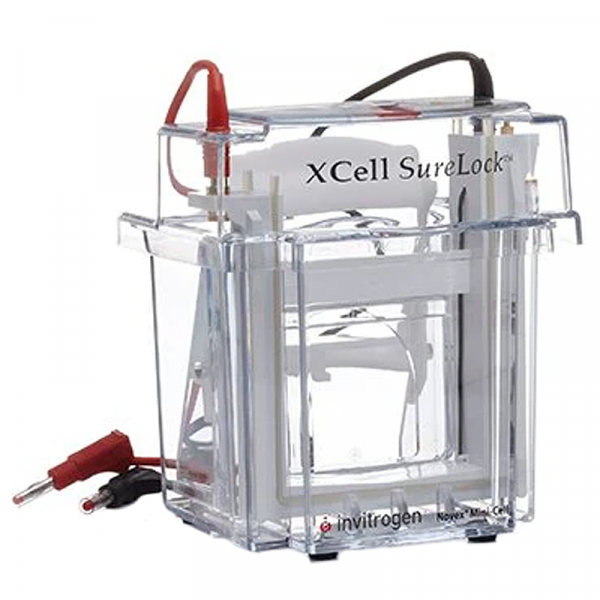 Thermo Fisher Scientific XCell SureLock Mini-Cell