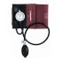 Riester SphygmotensionPhone
