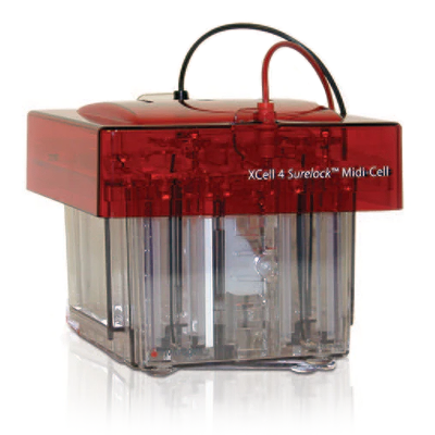 Thermo Fisher Scientific XCell SureLock Midi-Cell