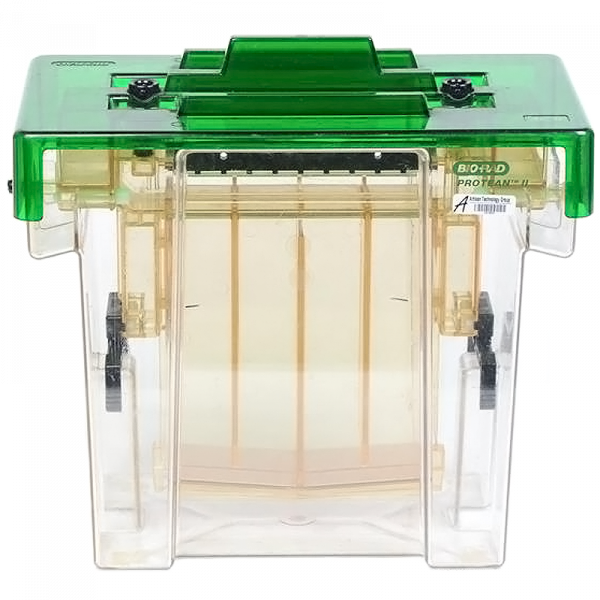 Bio-Rad Protean ll XL