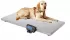 Весы ветеринарные wikiVET PRO 103 x 53 см до 200 кг с дисплеем