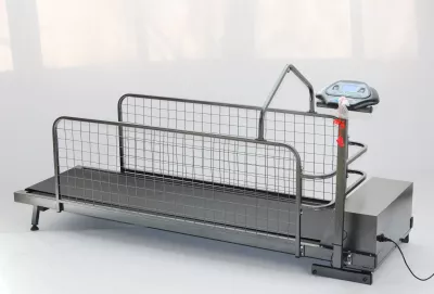 Беговая дорожка для собак wikiRUN LARGE Pro