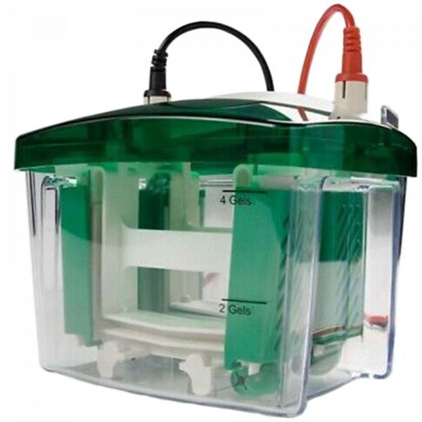 Bio-Rad Mini-Protean Tetra