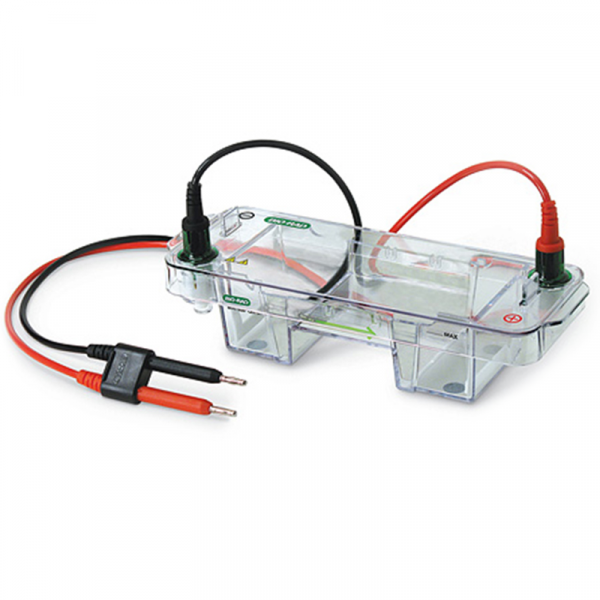 Bio-Rad Mini-Sub Cell GT