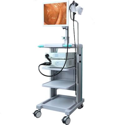 Huger 2600