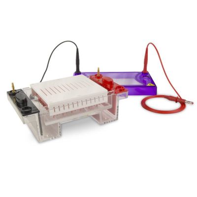 Cleaver Scientific MultiSUB Midi96