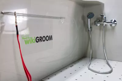 Ванна для груминга wikiGROOM NORMA с дверкой и трапом